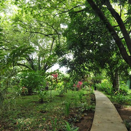 Las Brisas Del Sur Ojochal Exterior photo